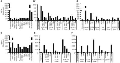 Cancer Neoepitopes for Immunotherapy: Discordance Between Tumor-Infiltrating T Cell Reactivity and Tumor MHC Peptidome Display